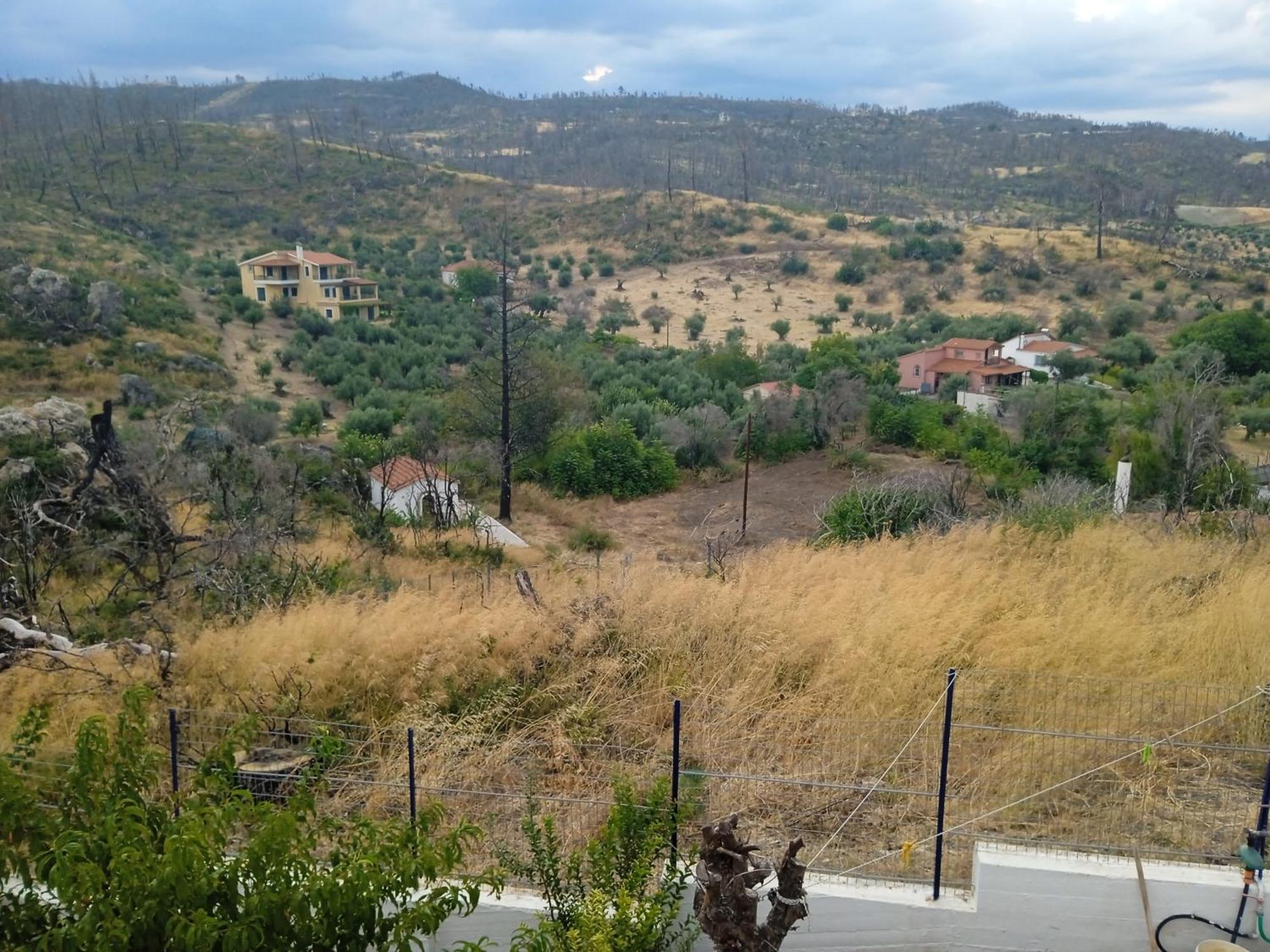 Σπίτι Στο Βουνό Αλλά Μια Ανάσα Από Τη Θάλασσα Villa Paleochori Exterior photo